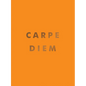 Carpe Diem: Inspirational Quotes and Awesome Affirmations for Seizing the Day - Hardcover