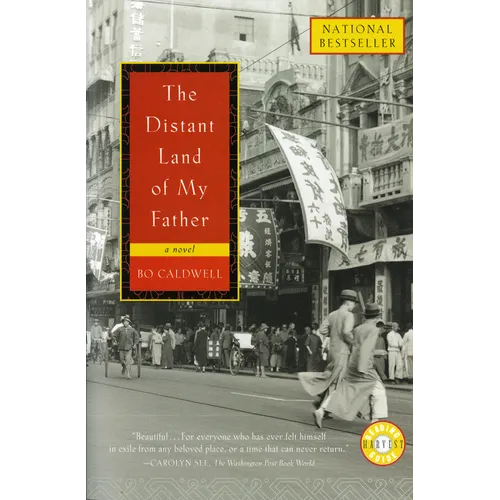The Distant Land of My Father - Paperback