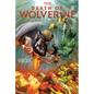 Death of Wolverine Omnibus Alex Ross Cover - Hardcover