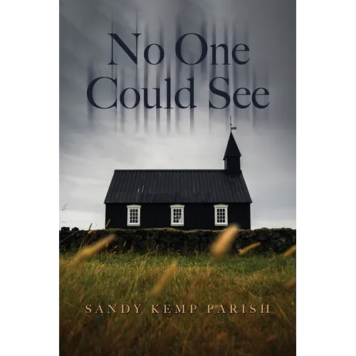 No One Could See - Paperback