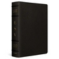ESV Study Bible, Large Print (Buffalo Leather, Deep Brown) - Leather