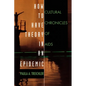 How to Have Theory in an Epidemic: Cultural Chronicles of AIDS - Paperback