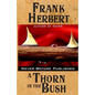 A Thorn in the Bush - Paperback