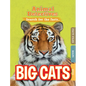 Big Cats - Paperback