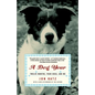A Dog Year: Twelve Months, Four Dogs, and Me - Paperback