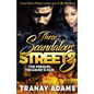 These Scandalous Streets 3: The Prequel. Treasure's Pain - Paperback
