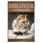 Savannah Cats - Discover: Early reader's wildlife photography book - Paperback