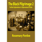 The Black Pilgrimage 2: Further Explorations in Supernatural Fiction - Paperback