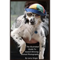 The Illustrated Guide to Award-Winning Animal Photography by Larry Singer - Paperback