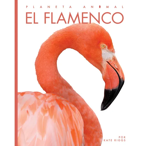 El Flamenco - Paperback