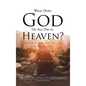 What Does God Do All Day In Heaven - Hardcover