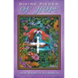 Divine Pieces of Hope - Paperback