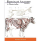Ruminant Anatomy: A Photo Atlas - Paperback