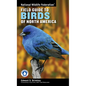 National Wildlife Federation Field Guide to Birds of North America - Paperback