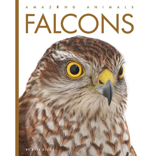 Falcons - Paperback