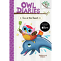 Eva at the Beach: A Branches Book (Owl Diaries #14): Volume 14 - Hardcover