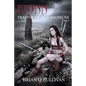 Fionn: Traitor of Dun Baoiscne - Paperback