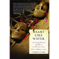 Heart Like Water: Surviving Katrina and Life in Its Disaster Zone - Paperback
