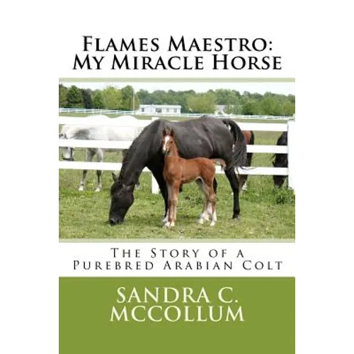 Flames Maestro: My Miracle Horse: The Story of a Purebred Arabian Colt - Paperback