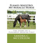 Flames Maestro: My Miracle Horse: The Story of a Purebred Arabian Colt - Paperback