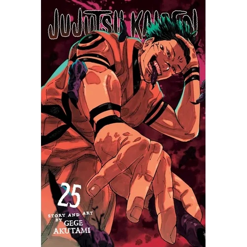Jujutsu Kaisen, Vol. 25 - Paperback
