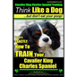 Cavalier King Charles Spaniel Training Think Like a Dog, But Don't Eat Your P: Here's EXACTLY How To TRAIN Your Cavalier King Charles Spaniel - Paperback