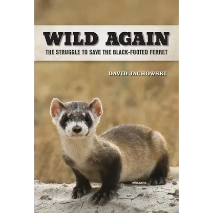 Wild Again: The Struggle to Save the Black-Footed Ferret - Hardcover