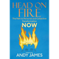 Head on Fire: The Path to Personal and Collective Transformation NOW - Paperback