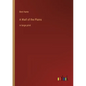 A Waif of the Plains: in large print - Paperback