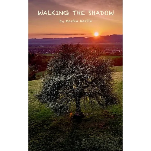 Walking the Shadow - Paperback