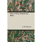How to Draw Animals and Birds - Paperback