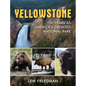 Yellowstone: 150 Years as America's Greatest National Park - Hardcover