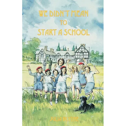 We Didn't Mean to Start A School - Paperback