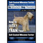Soft Coated Wheaten Terrier Training Dog Training with the No BRAINER Dog TRAINER We Make it That EASY!: How to EASILY TRAIN Your Soft Coated Wheaten - Paperback