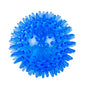 TPR Squeaky Thorn Chew Ball for Dogs & Cats — Teeth Cleaning Puppy Training Toy