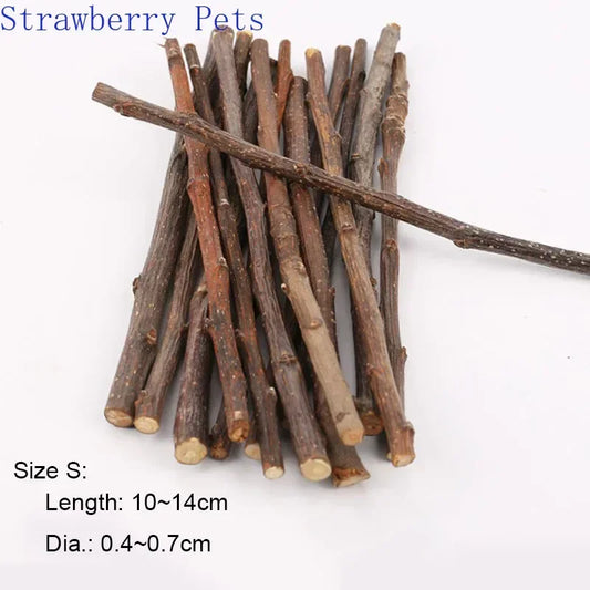 Natural Apple Wood Chew Sticks for Small Pets 5/10/40 Pack - Hamster Rabbit Chinchilla Squirrel Parrot Dental Toy