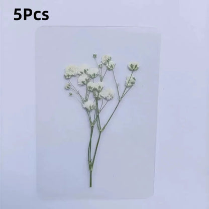 15Pcs Lucky Simulation Four-Leaf Clover Postcards Shamrock Stems Transparent Wishing Cards Ideal for Bookmarks & Decorations