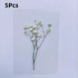 15Pcs Lucky Simulation Four-Leaf Clover Postcards Shamrock Stems Transparent Wishing Cards Ideal for Bookmarks & Decorations