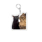 Funny Cat Memes Series Keychain Student Gift Bag Lanyard  Women's Bag Pendant Keychain Cute Things Cheap Gift For Best Friends
