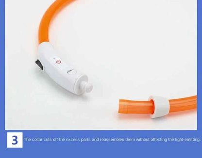 LED Pet Dog Collar for Night Safety | Bright USB Rechargeable