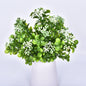 Artificial Plant Small Boston Fern Green Grass Home Decoration Fake Plant Leaves Greenery Home Garden Party Wedding Decorations