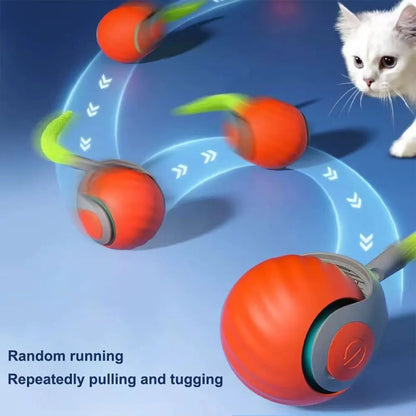 USB Rechargeable Interactive Cat Toy Ball – Automatic Moving Ball with Replaceable Tail, Dual-Speed for Indoor Cats