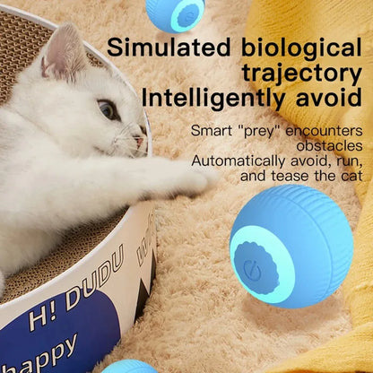 Automatic Interactive Rolling Cat Ball Toy – Self-Moving Electronic Kitten Toy