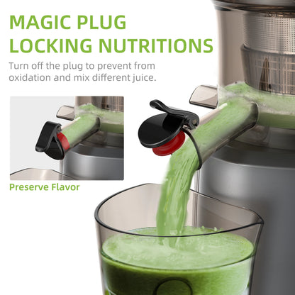BioloMix HH-916I Cold Press Juicer, 200W