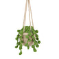 KRABALL Crochet Hanging Plant Kit With Instruction Easy Hand Knitting Yarn Ball Thread Needles Hooks Knit Tools Accessories Set