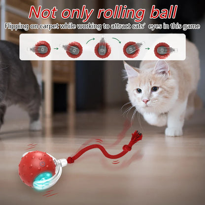 Motion-Activated Interactive Cat Toy Ball with Chirping Bird Sound & LED Rolling Teaser for Kittens