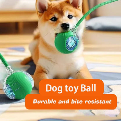 Rechargeable Interactive Rolling Ball Toy for Dogs & Cats — Automatic Smart Obstacle-Avoiding Pet Play Ball