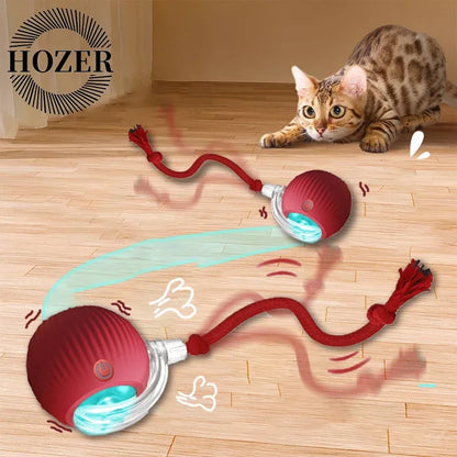 2-Pack Rechargeable Interactive Rolling Cat Ball Toy with Faux Tail — Smart Electric Pet Toy