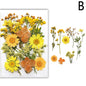 For Fun DIY Embossed Dried Flower Resin Fillings Real Flower for Home Decoration Nail Art Handicrafts Jewelry Making Crafts