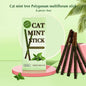 6-Pack Natural Silvervine (Matatabi) Cat Chew Sticks – Catnip Treats for Dental Health, Anxiety Relief & Play